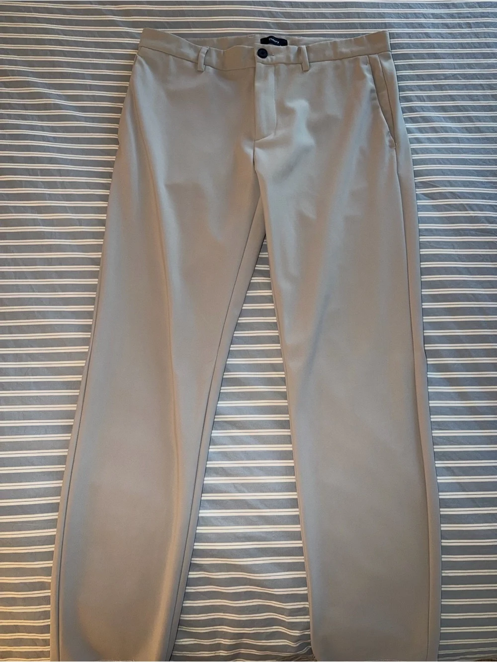 Theory Zaine Pant in Precision Point 32x32 Putty Color